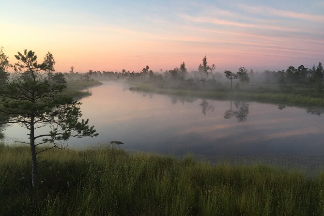 Sunrise at Kemeri National Park - Small Group - What the morning looks like from Riga