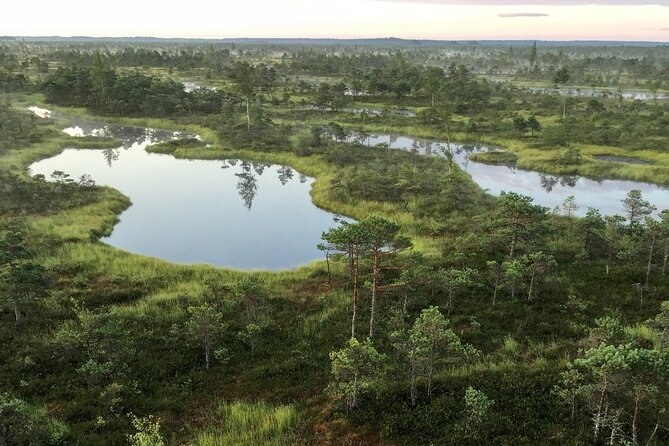 Sunrise at Kemeri National Park - Small Group - Walking the Great Kemeri Bog Boardwalk