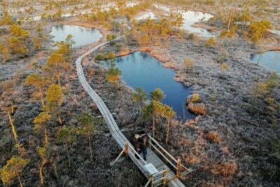 Sunrise at Kemeri National Park – Small Group