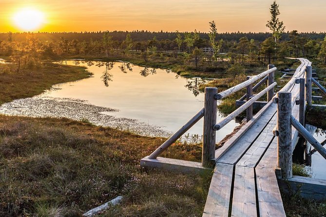 Sunrise Tour To Great Kemeri Bog - Key points to know before booking