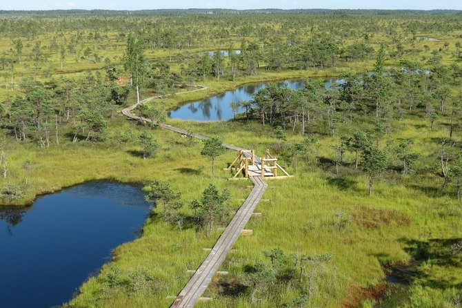 Sunrise Tour To Great Kemeri Bog - Kanieris Lake and its bird-watching tower