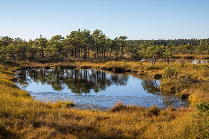 Sunrise Tour To Great Kemeri Bog - Lapmezciems and the Baltic shore