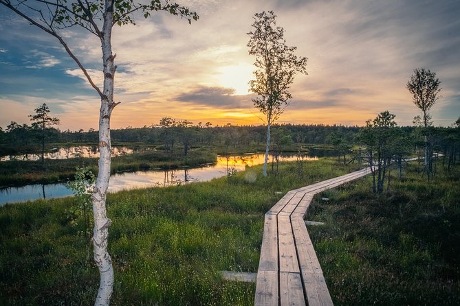 Sunrise Tour To Great Kemeri Bog - The 5:00 am start and private pickup