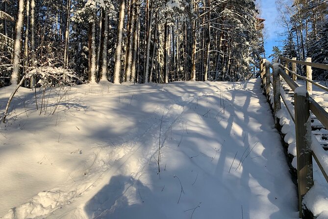 Ultimate Husky dog sledding experience in Latvia - Private tour from Riga - A forest walk and the watchtower viewpoint